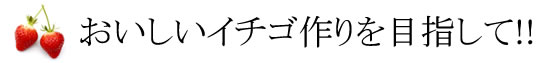 おいしいイチゴ作りを目指して！！