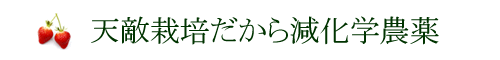 天敵栽培だから減化学農薬