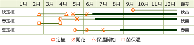 サマールビー期間